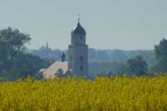 IMG-20210525-WA0003