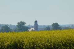 IMG-20210525-WA0004