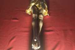 IMG-20200410-WA0016